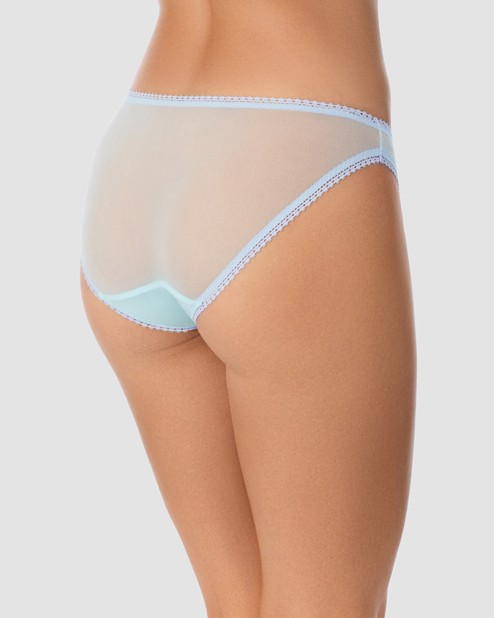 A lady wearing seascape Gossamer Mesh Hip Bikini Underwear