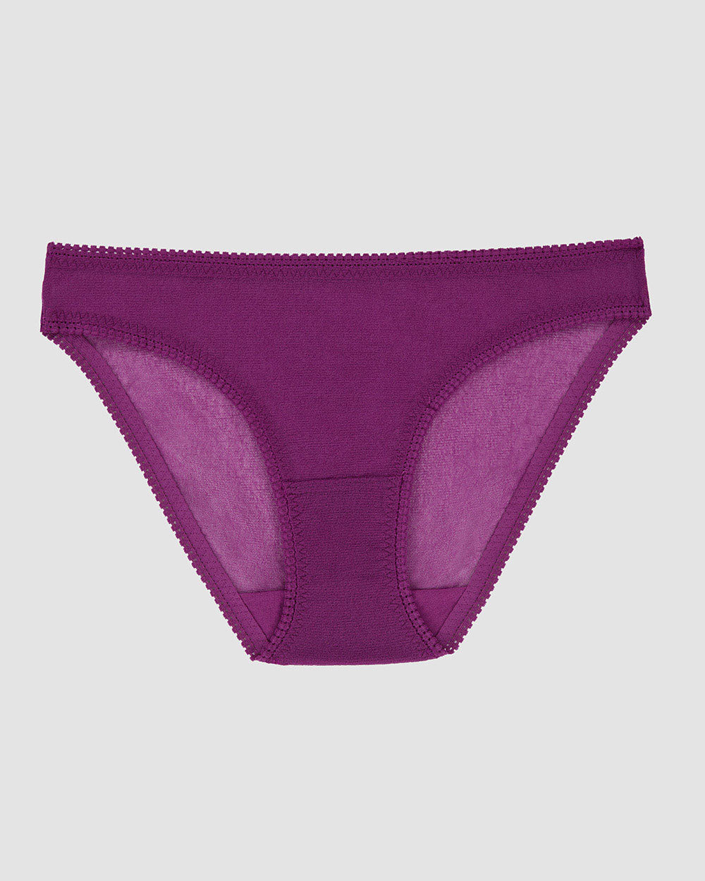 A Gossamer Mesh Hip Bikini Underwear