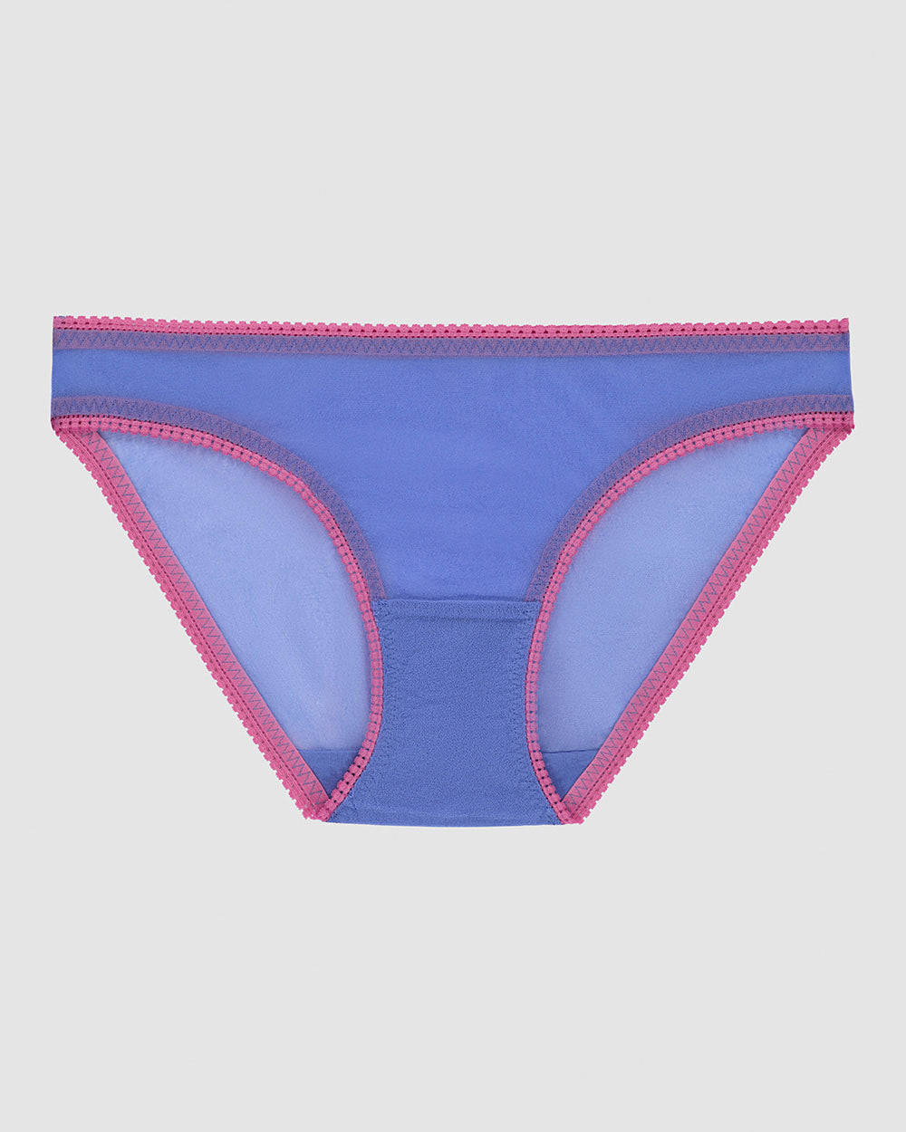 A lady wearing bajaj blue Gossamer Mesh Hip Bikini Underwear