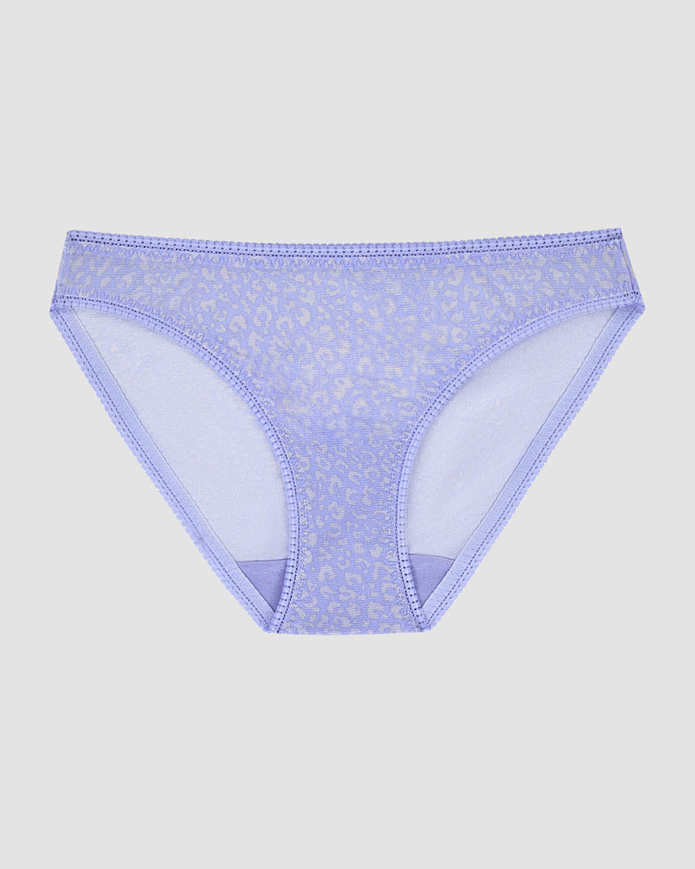 A Triple Mesh Hip Bikini Underwear - Modern Animal The Front View