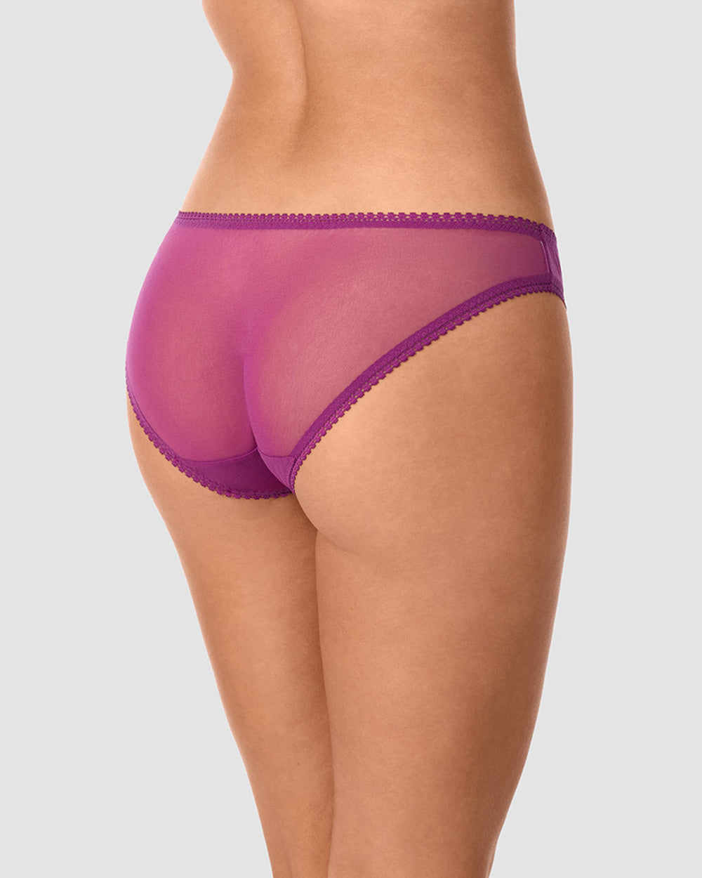 A lady wearing Gossamer Mesh Hip Bikini Underwear