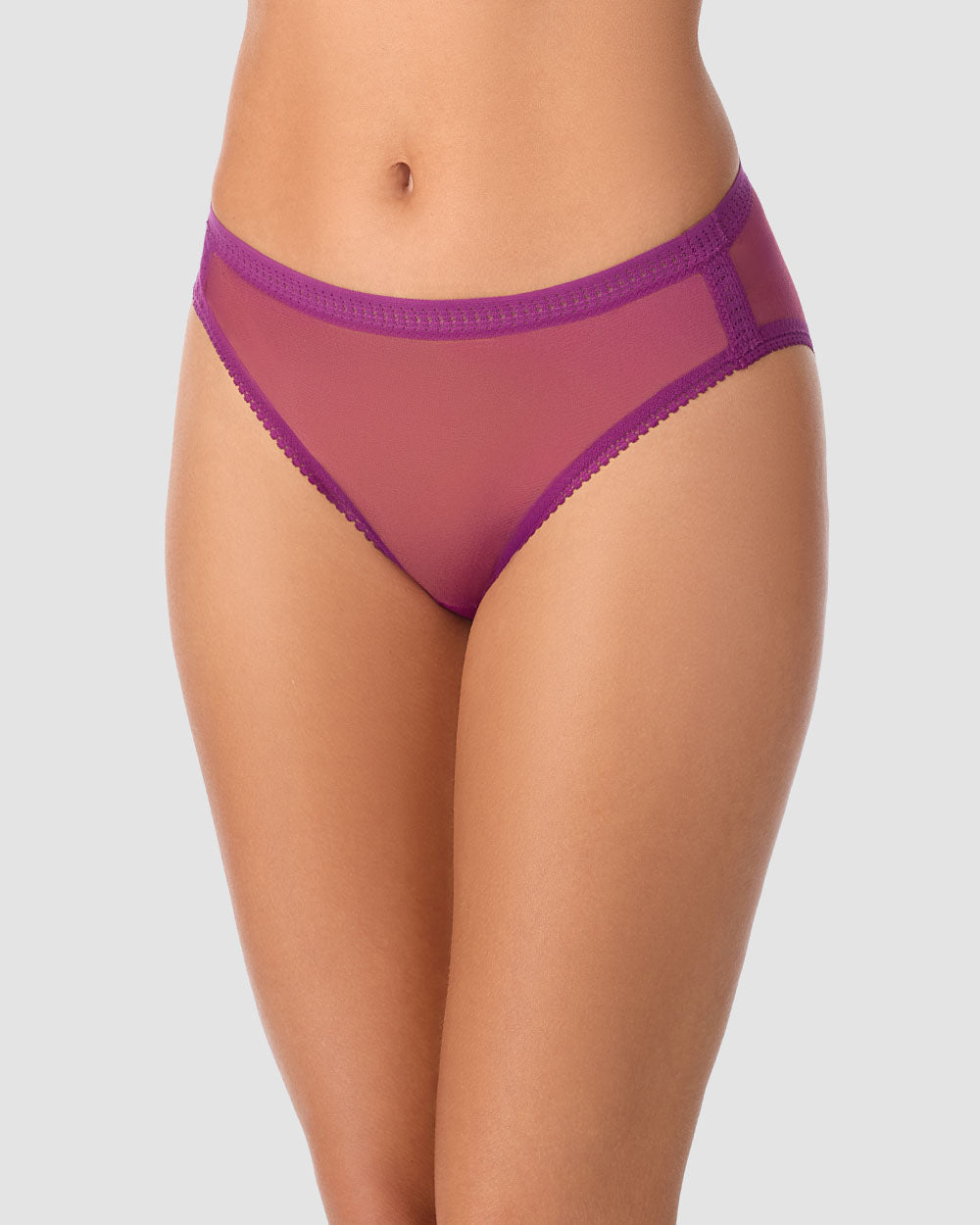 A lady wearing Gossamer Mesh Hi Cut Brief Underwear