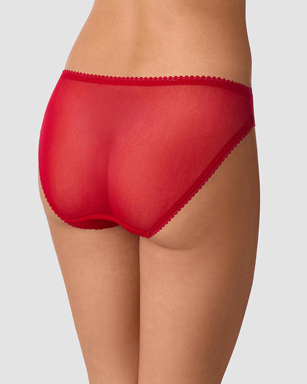 A lady wearing Gossamer Mesh Hip Bikini Underwear - Scarlet Red back view