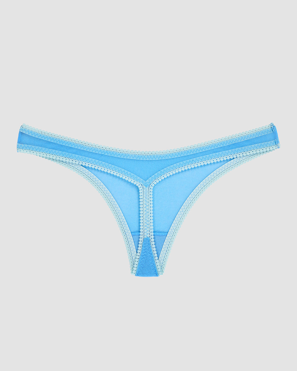 A lady is wearing Blue Hydrangea Gossamer Mesh Hip G Thong Underwear