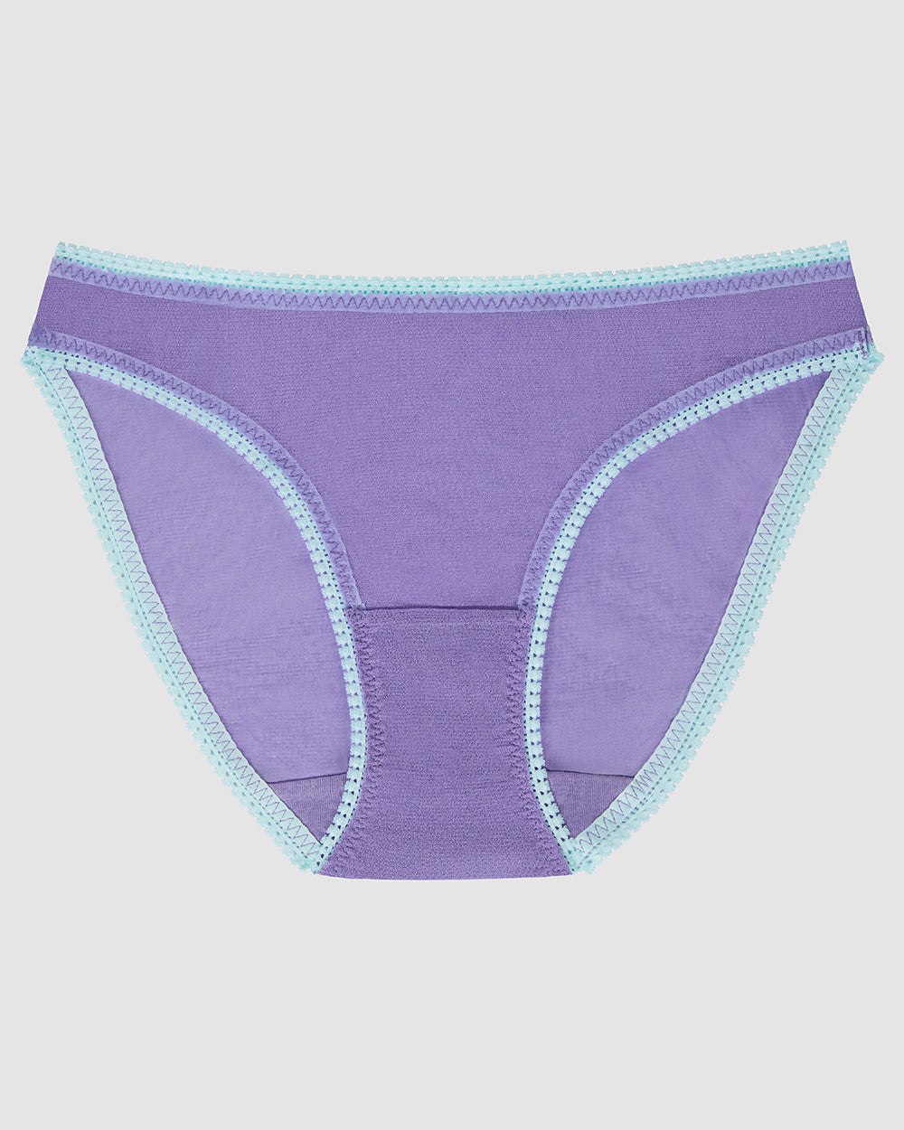 purple Gossamer Mesh Hip Bikini Underwear