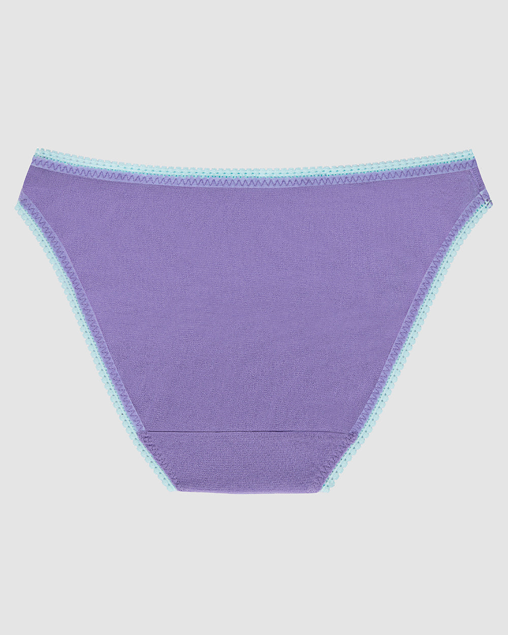 purple Gossamer Mesh Hip Bikini Underwear